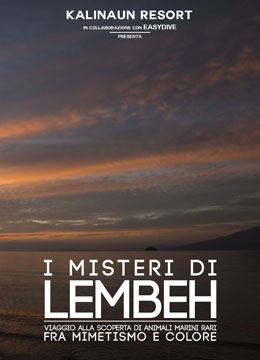 I misteri di Lembeh - Vol. III - 2015