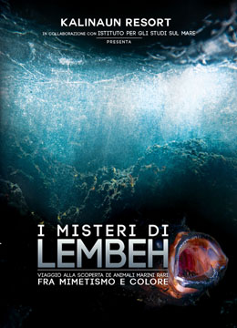 I misteri di Lembeh - Vol. II - 2014